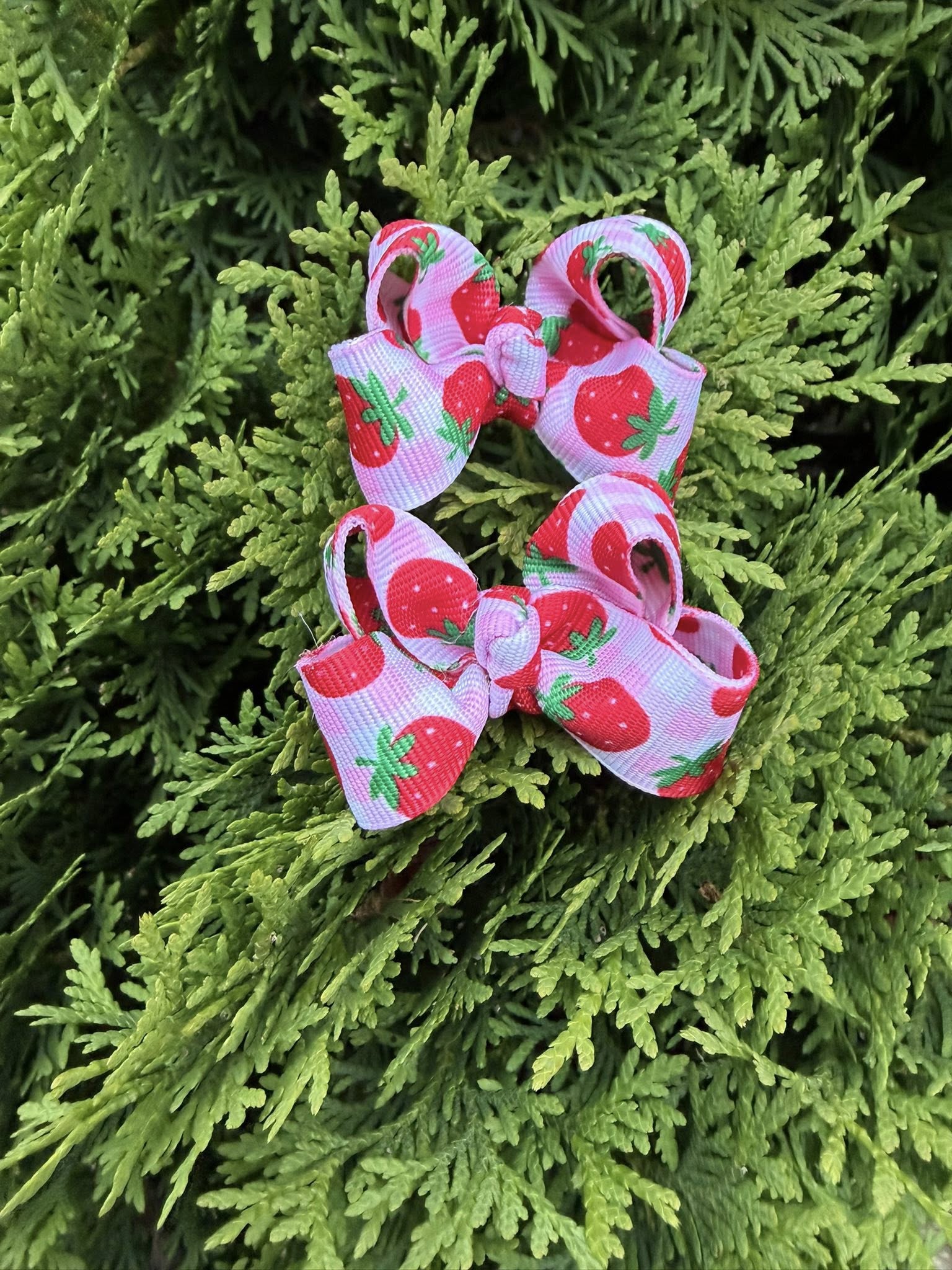 Pink strawberry micro bows